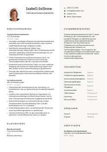 Lebenslauf-Vorlage für Technikvertriebsmitarbeiter*in #2