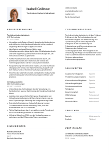 Lebenslauf-Vorlage für Technikvertriebsmitarbeiter*in #1