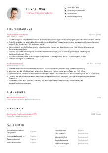Lebenslauf-Vorlage für Telefonvertriebsmitarbeiter*in #1