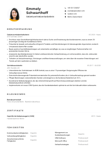 Lebenslauf-Muster für Gebietsvertriebsmitarbeiter*in