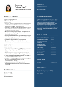 Lebenslauf-Vorlage für Gebietsvertriebsmitarbeiter*in #2