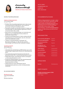Lebenslauf-Vorlage für Gebietsvertriebsmitarbeiter*in #3