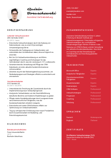 Lebenslauf-Vorlage für Assistenz Vertriebsleitung #3