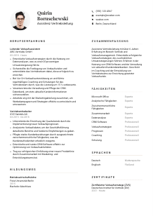 Lebenslauf-Vorlage für Assistenz Vertriebsleitung #1