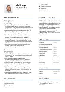 Lebenslauf-Vorlage für CRM-Projektleiter*in #2