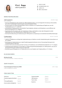 Lebenslauf-Vorlage für CRM-Projektleiter*in #3