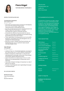 Lebenslauf-Vorlage für Vertriebsleiter*in Distribution #2
