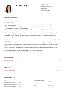 Lebenslauf-Vorlage für Vertriebsleiter*in Distribution #1