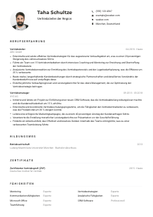 Lebenslauf-Muster für Vertriebsleiter*in der Region