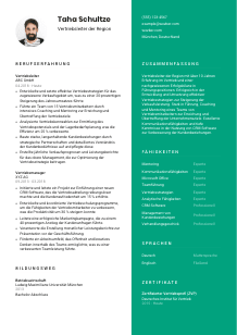 Lebenslauf-Vorlage für Vertriebsleiter*in der Region #2