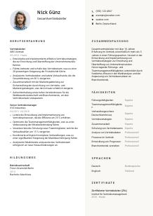 Lebenslauf-Vorlage für Gesamtvertriebsleiter*in #2