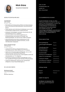 Lebenslauf-Vorlage für Gesamtvertriebsleiter*in #3