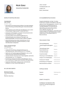 Lebenslauf-Vorlage für Gesamtvertriebsleiter*in #1