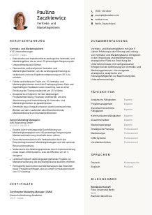 Lebenslauf-Vorlage für Vertriebs- und Marketingleiter*in #2