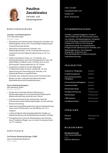 Lebenslauf-Vorlage für Vertriebs- und Marketingleiter*in #3