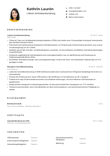 Lebenslauf-Muster für Leiter*in Vertriebsentwicklung