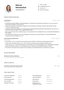 Lebenslauf-Muster für Verkaufsleiter*in