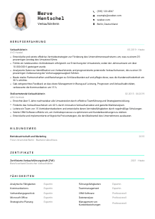 Lebenslauf-Vorlage für Verkaufsleiter*in #3