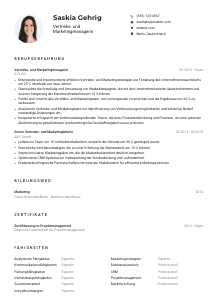 Lebenslauf-Muster für Vertriebs- und Marketingmanager*in