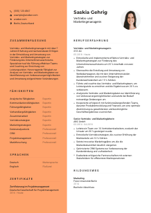 Lebenslauf-Vorlage für Vertriebs- und Marketingmanager*in #3
