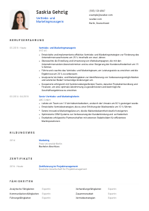 Lebenslauf-Vorlage für Vertriebs- und Marketingmanager*in #1