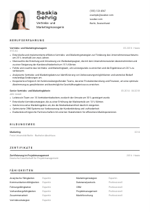 Lebenslauf-Vorlage für Vertriebs- und Marketingmanager*in #2