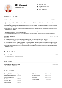 Lebenslauf-Muster für Vertriebsaufsicht