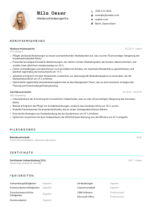 Lebenslauf-Vorlage für Werbevertriebsexpert*in #3