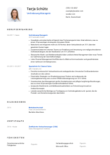 Lebenslauf-Vorlage für Vertriebsweg-Manager*in #1