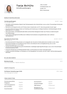 Lebenslauf-Vorlage für Vertriebsweg-Manager*in #2