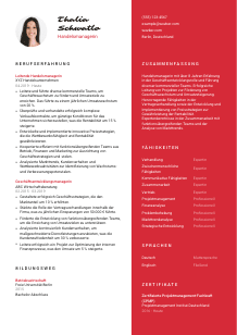 Lebenslauf-Vorlage für Handelsmanager*in #3