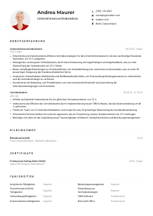 Lebenslauf-Muster für Unternehmensvertriebsleiter*in