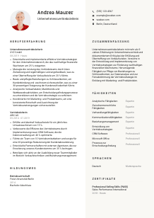 Lebenslauf-Vorlage für Unternehmensvertriebsleiter*in #2