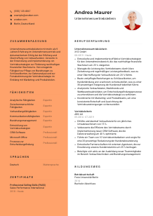 Lebenslauf-Vorlage für Unternehmensvertriebsleiter*in #3