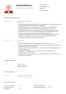 Lebenslauf-Vorlage für Unternehmensvertriebsleiter*in #1