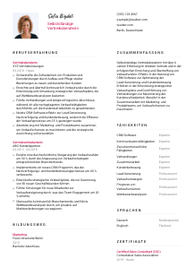 Lebenslauf-Vorlage für Selbstständige*r Vertriebsberater*in #2