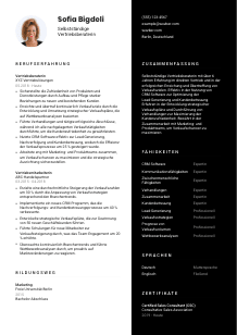 Lebenslauf-Vorlage für Selbstständige*r Vertriebsberater*in #3