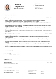 Lebenslauf-Muster für Versicherungsagent*in