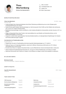 Lebenslauf-Muster für Online-Vertriebsleiter*in