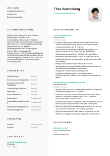 Lebenslauf-Vorlage für Online-Vertriebsleiter*in #2