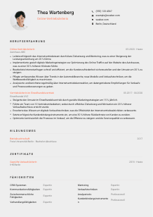 Lebenslauf-Vorlage für Online-Vertriebsleiter*in #3
