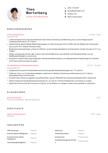 Lebenslauf-Vorlage für Online-Vertriebsleiter*in #1