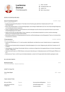 Lebenslauf-Muster für IT-Vertriebsexpert*in