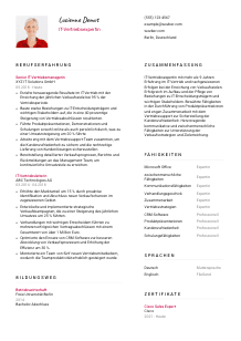 Lebenslauf-Vorlage für IT-Vertriebsexpert*in #2