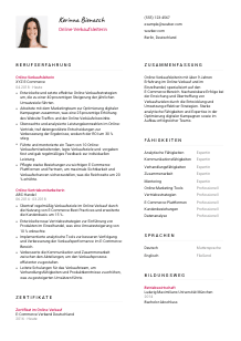 Lebenslauf-Vorlage für Online-Verkaufsleiter*in #2