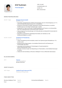 Lebenslauf-Vorlage für Preismanager*in #1