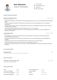 Lebenslauf-Muster für Analyst*in für Vertriebsabläufe