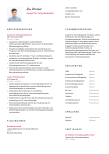 Lebenslauf-Vorlage für Analyst*in für Vertriebsabläufe #2