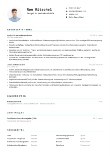 Lebenslauf-Vorlage für Analyst*in für Vertriebsabläufe #3