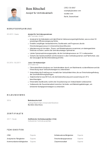 Lebenslauf-Vorlage für Analyst*in für Vertriebsabläufe #1
